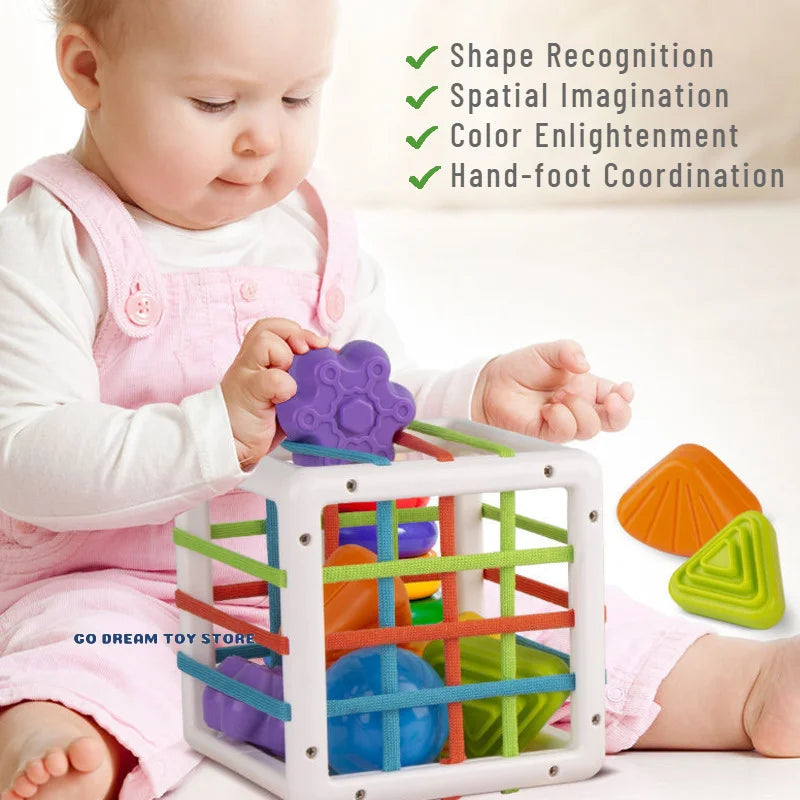Colorful Shape Sorting Blocks
