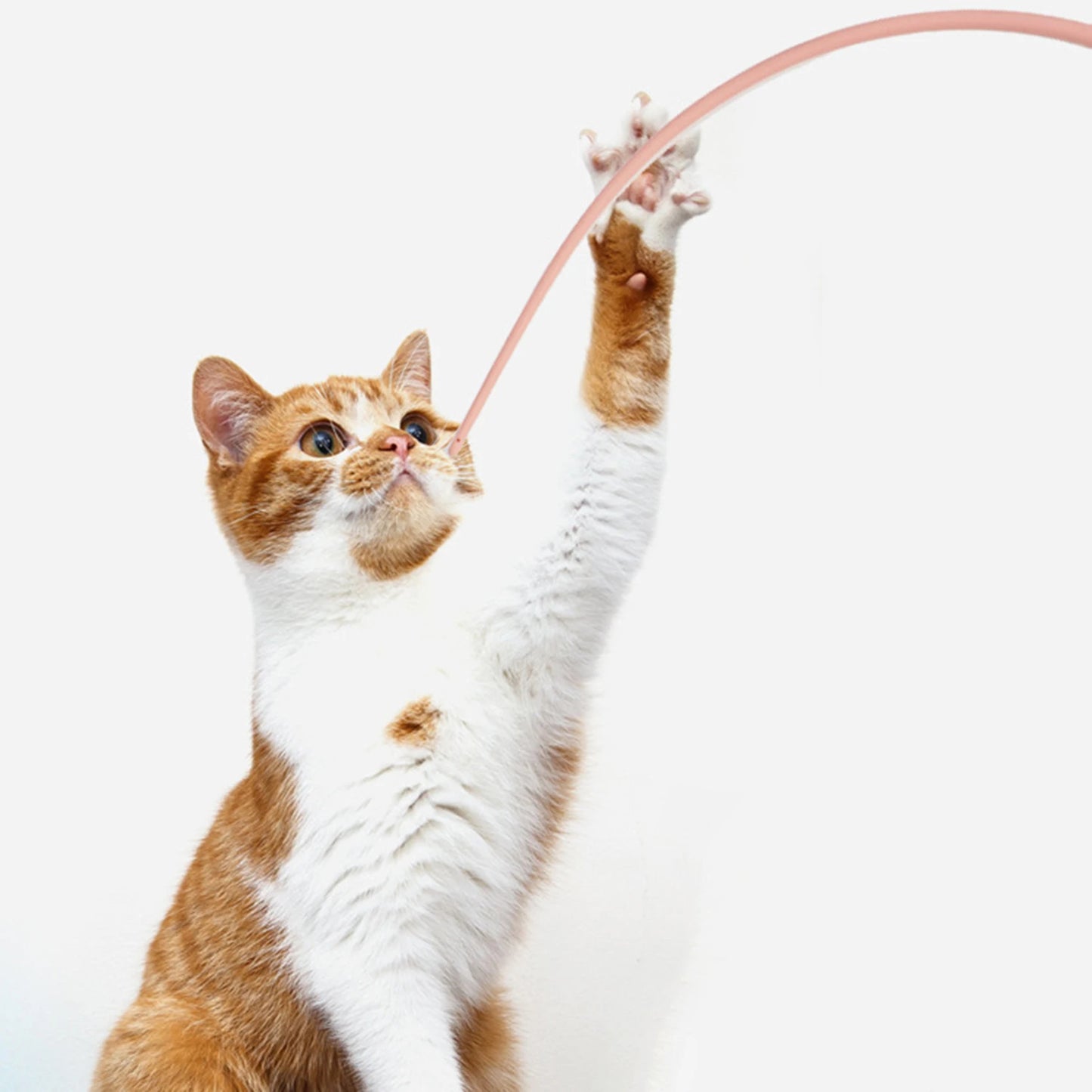 Silicone Cat Teaser Stick