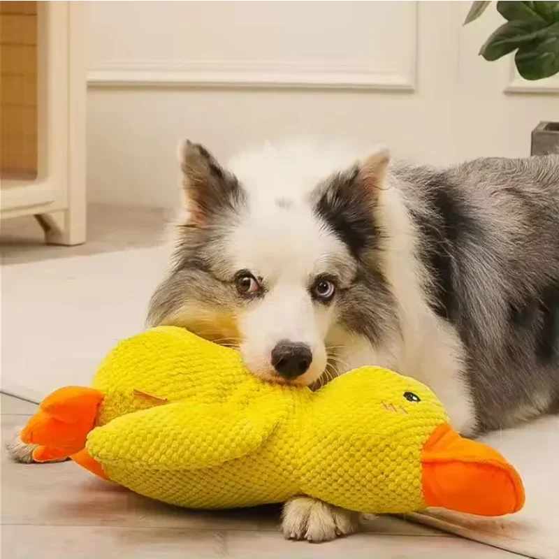 Squeaky Duck Chew Toy