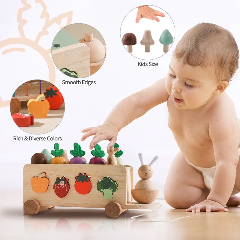 Montessori Wooden Baby Carrot Car Pulling Toy Stretch Rope Hand-Pulled Turnip Car Shape Matching Toy Parent-Child Education Toys