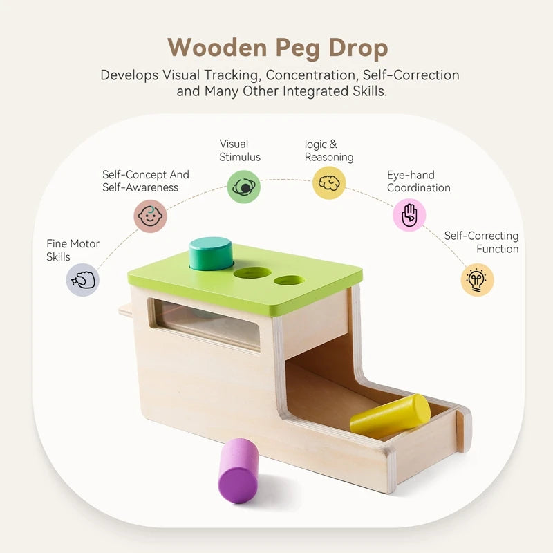 Montessori Baby Wooden Toys Macaroon Color Permanence Chasing Box Color Shape Cognition Match Educational Sensory Toy Baby Gifts