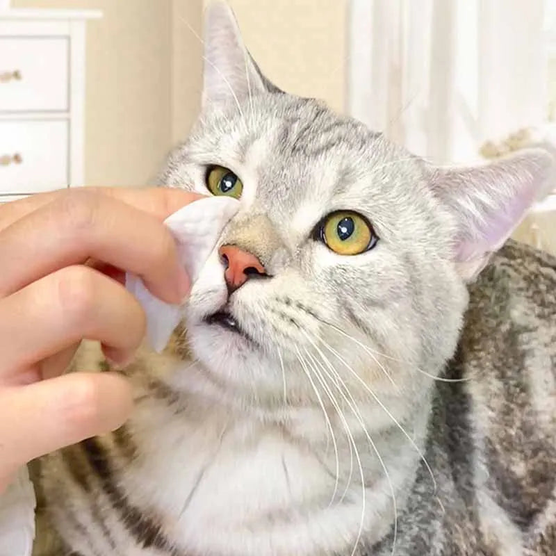 Universal Pet Eye Wipes
