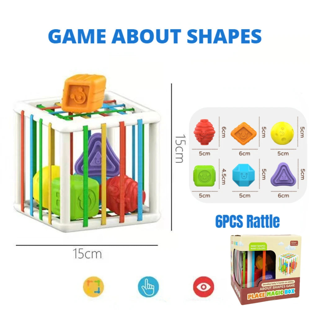 45889600094453