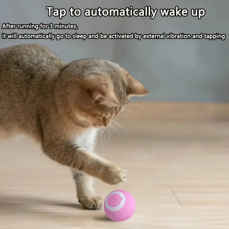 Smart Cat Toys Automatic Rolling Ball