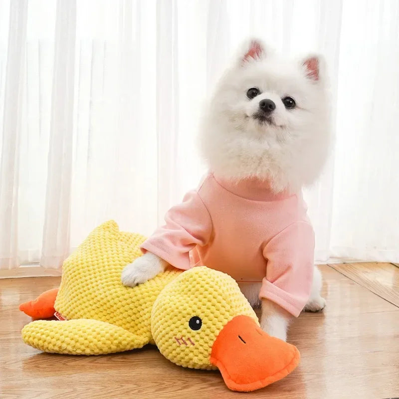 Squeaky Duck Chew Toy