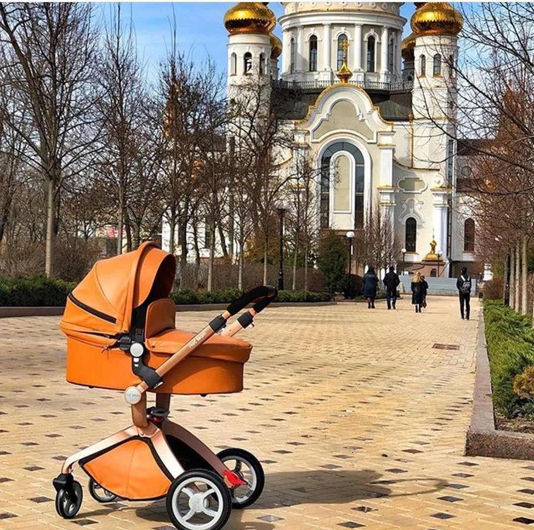 Hot Mom 2 in 1 Baby Pushchair, Baby Stroller,High Landscape Brown Stroller For Newborn Baby,Multiple Accessories,Model F22