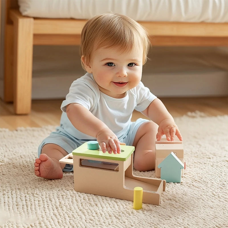 Montessori Baby Wooden Toys Macaroon Color Permanence Chasing Box Color Shape Cognition Match Educational Sensory Toy Baby Gifts