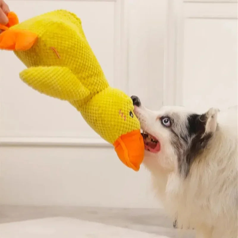 Squeaky Duck Chew Toy