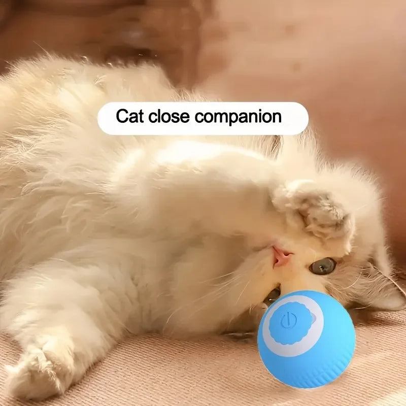 Smart Cat Toys Automatic Rolling Ball
