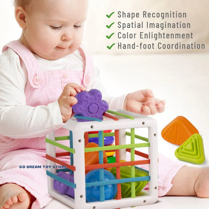 Colorful Shape Sorting Blocks