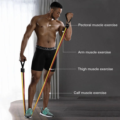 Resistance Band Training Exercise