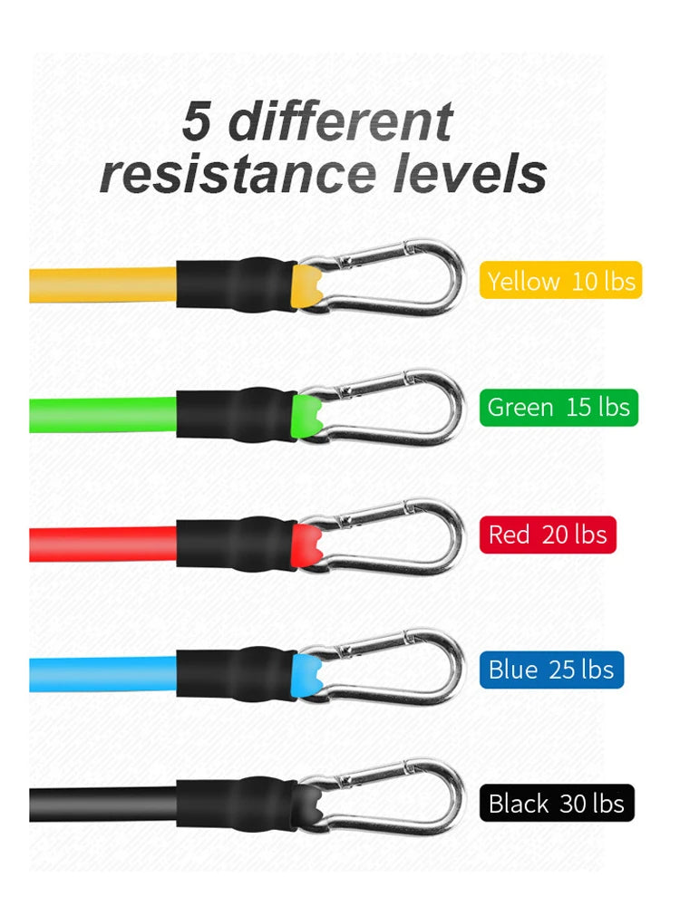 Resistance Band Training Exercise
