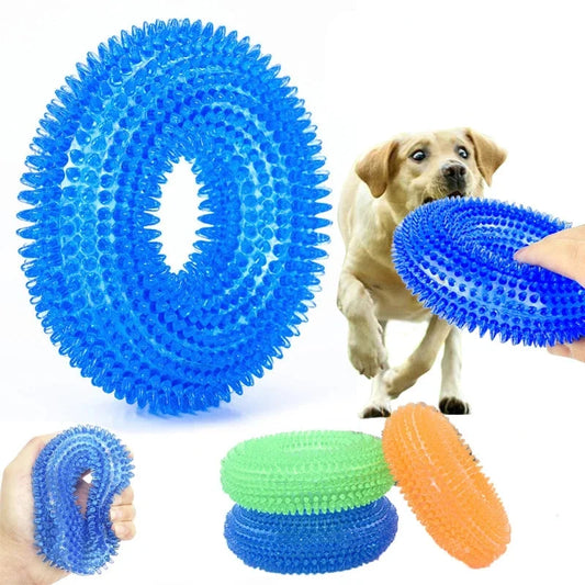 Squeaky Interactive Chew Toy