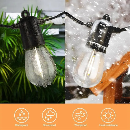Outdoor  Edison String Lights