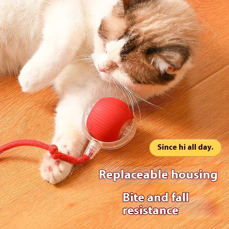 Auto Electric Rolling Cat Ball