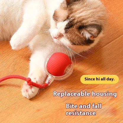 Auto Electric Rolling Cat Ball