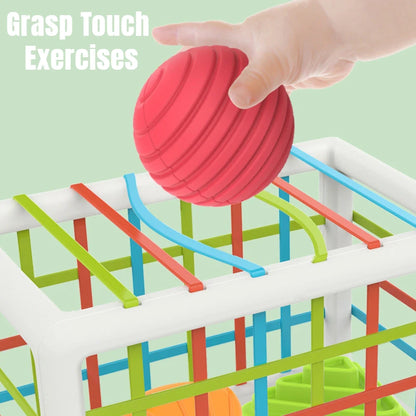 Colorful Shape Sorting Blocks