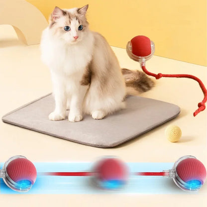 Auto Electric Rolling Cat Ball
