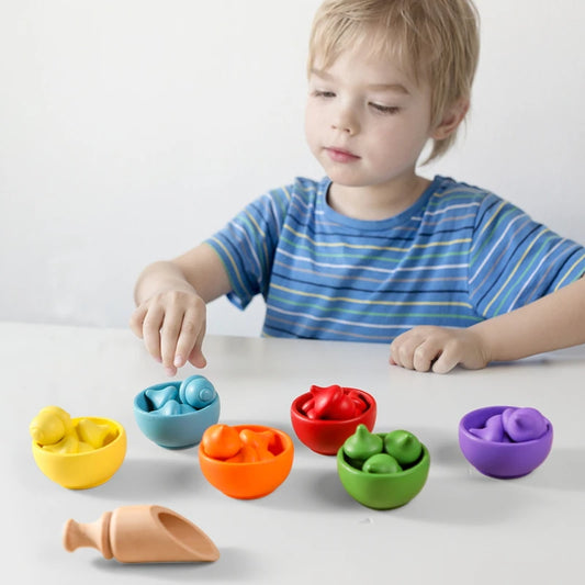 Acorn Sorting Set Learning Color Sorting Matching Improves Cognitive Manipulation Ability Montessori Inspired Toy Six Colors