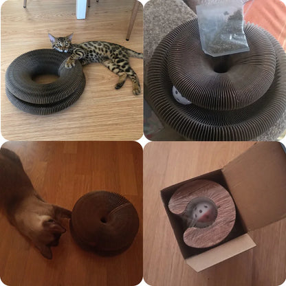 Magic Organ Cat Scratcher Post