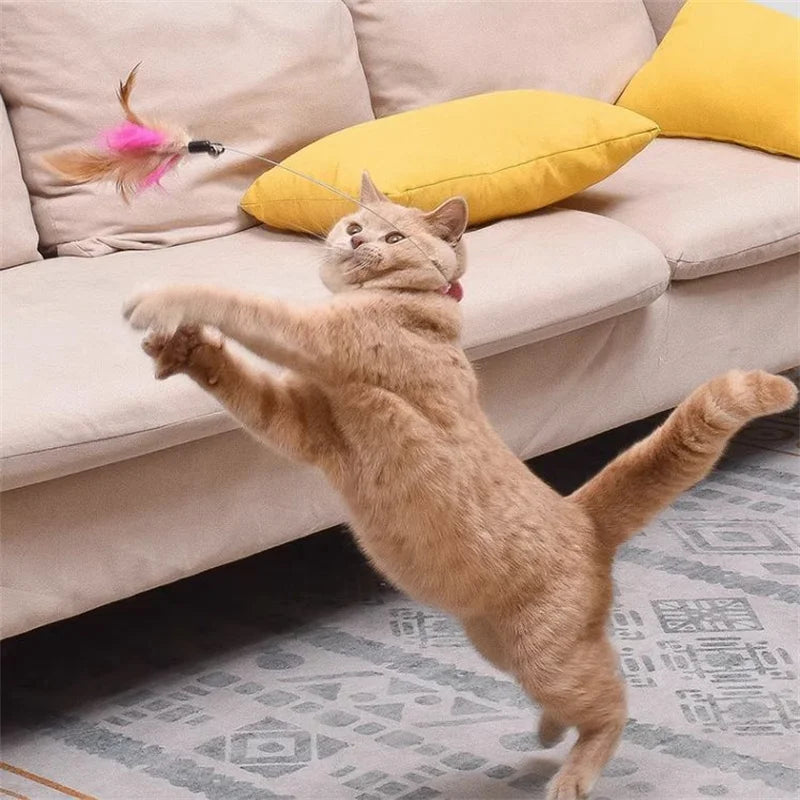 Interactive Cat Toys Funny