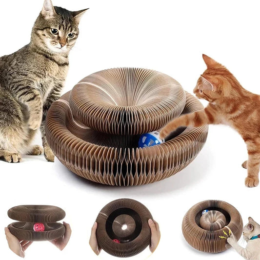 Magic Organ Cat Scratcher Post