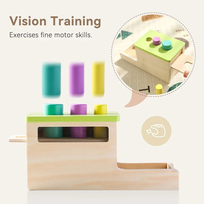 Montessori Baby Wooden Toys Macaroon Color Permanence Chasing Box Color Shape Cognition Match Educational Sensory Toy Baby Gifts