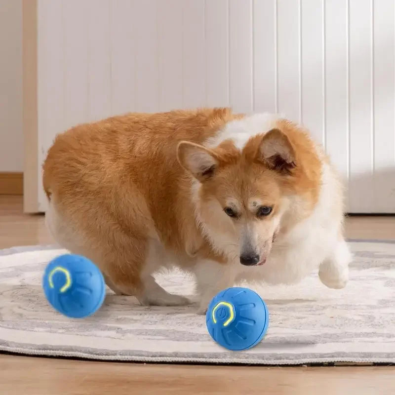 Automatic Rolling Dog Toy