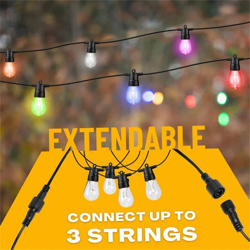 Outdoor  Edison String Lights