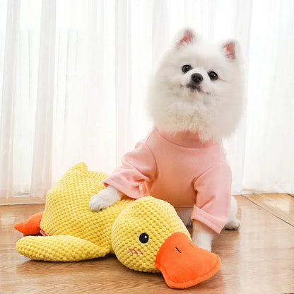 Squeaky Duck Chew Toy