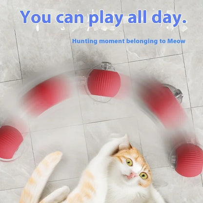 Auto Electric Rolling Cat Ball