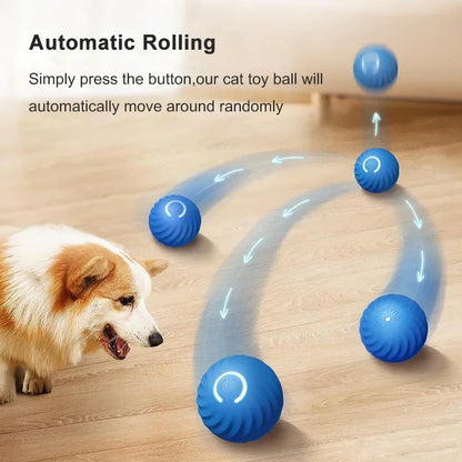 Automatic Rolling Dog Toy