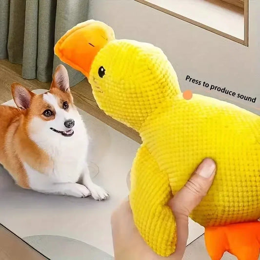 Squeaky Duck Chew Toy