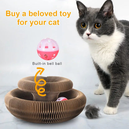 Magic Organ Cat Scratcher Post