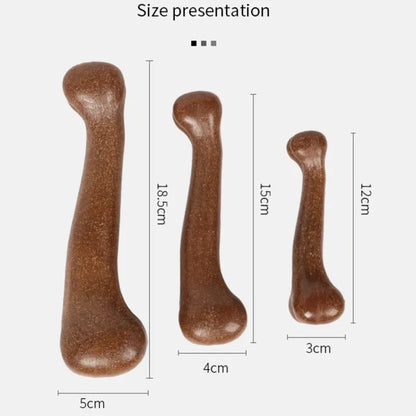 Beef Flavor Bone Dog Toy