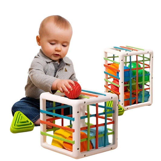 Colorful Shape Sorting Blocks