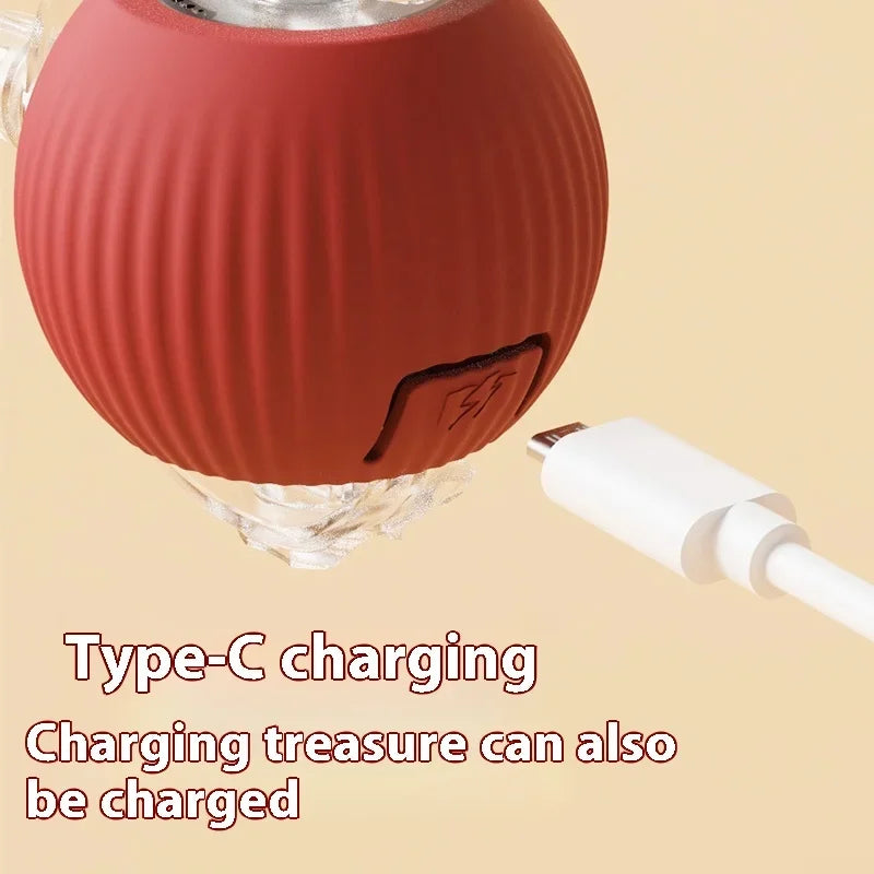 Auto Electric Rolling Cat Ball