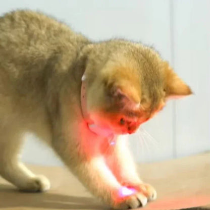 Automatic Cat Collar with LED Light