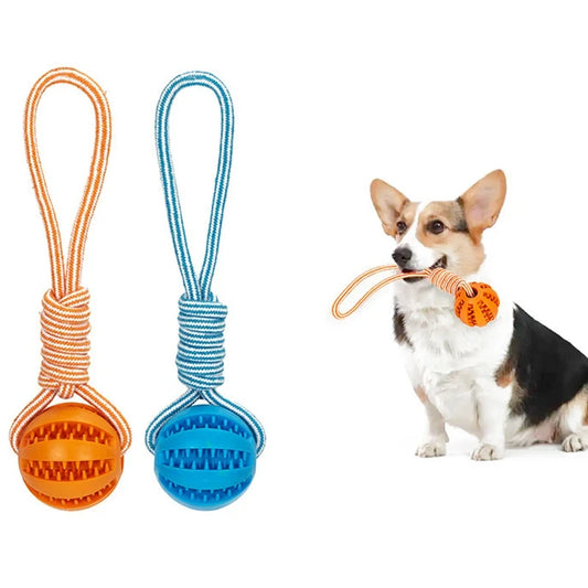 Interactive Treat Ball Toy
